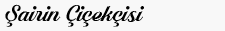 logo2